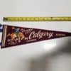 Calgary, Alberta Vintage Souvenir Pennant for sale