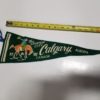 Calgary, Alberta Vintage Souvenir Pennant for sale