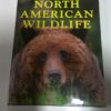 North American Wildlife - David Jones for sale