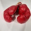 Vintage Pair of Everlast Boxing Gloves for sale