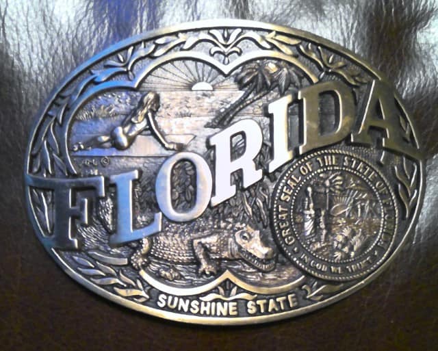 Vintage Florida Sunshine State Belt Buckle for sale