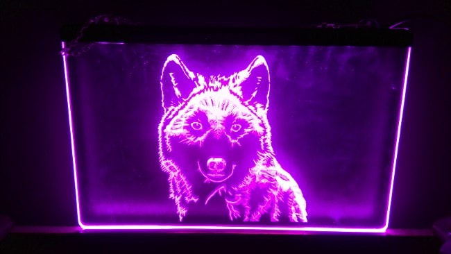 Light Up Wolf Sign for sale on heinventures.ca