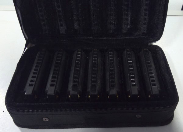 Hohner Piedmont Blues Harmonica Set for sale on heinventures.ca