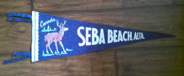 Vintage Seba Beach Alberta Souvenir Pennant for sale