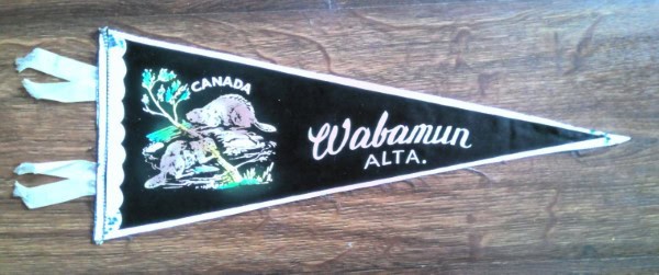 Vintage Wabamun Alberta Souvenir Pennant for sale