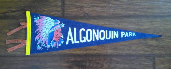 Vintage Algonquin Park Ontario Souvenir Pennant for sale