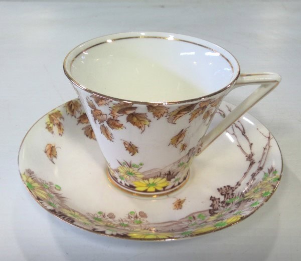 Vintage Royal Mayfair China Tea Cup and Saucer - Autumn Leaves. for sale