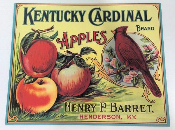 Kentucky Cardinal Brand Apples Tin Sign Decor - 1994 for sale