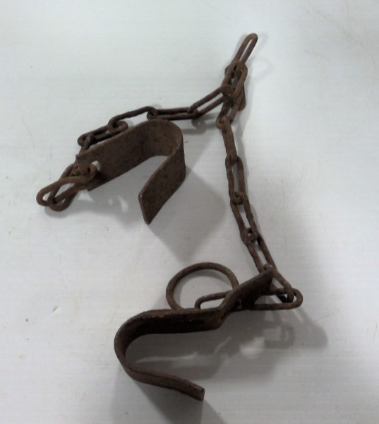 Antique Set of Cow Kickers / Hobbles for sale