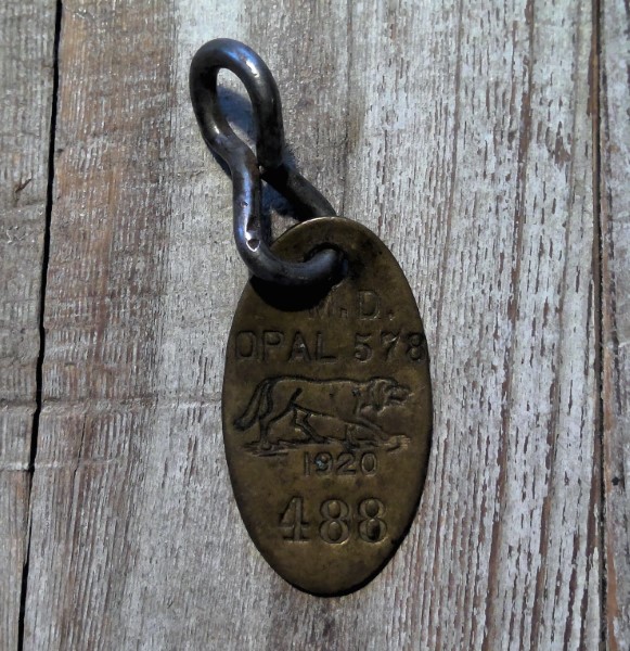 Antique 1920 Dog Tag - M.D. Opal for sale