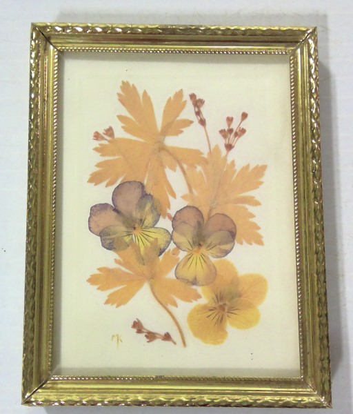 Vintage Dried / Pressed Flower in 3.5"x4.5" Gold Tone Frame for sale