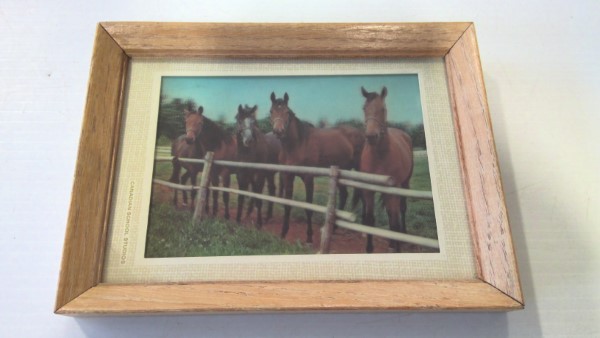 Vintage Framed Holographic Horse Picture. for sale