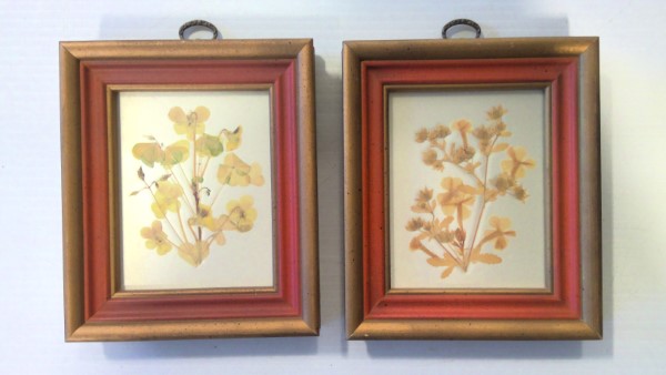 Set of 2 Vintage Pressed Flowers in Matching Frames for sale