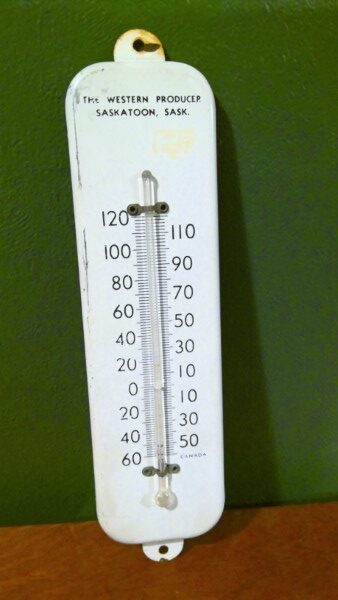 Vintage Western Producer Saskatoon Saskatchewan Advertising Thermometer for sale